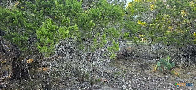 $29,500 | 203 Palm, Spring Branch, TX 78070