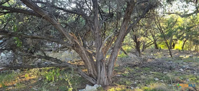 $29,500 | 203 Palm, Spring Branch, TX 78070