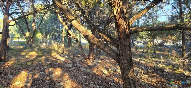 $29,500 | 203 Palm, Spring Branch, TX 78070