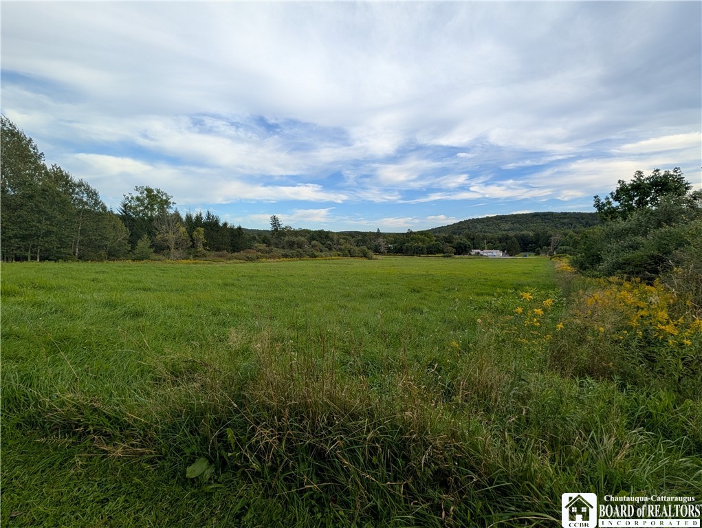 Vl Beech Tree Road West Valley, NY 14171 - Photo 7 of 11 Gallery Image 7