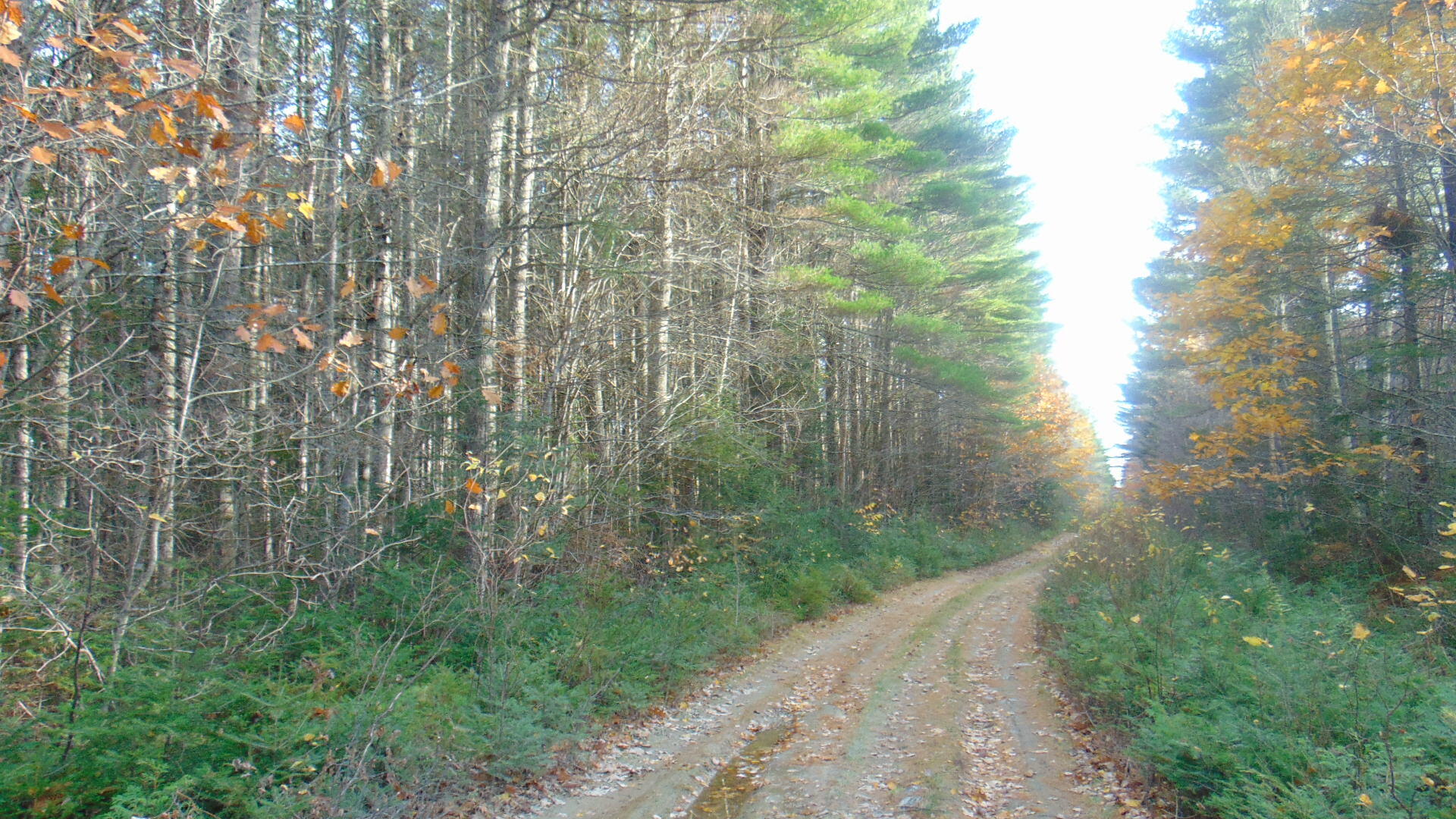 116 Edinburg Road Howland, ME 04448 - Photo 1 of 3 DSC03160