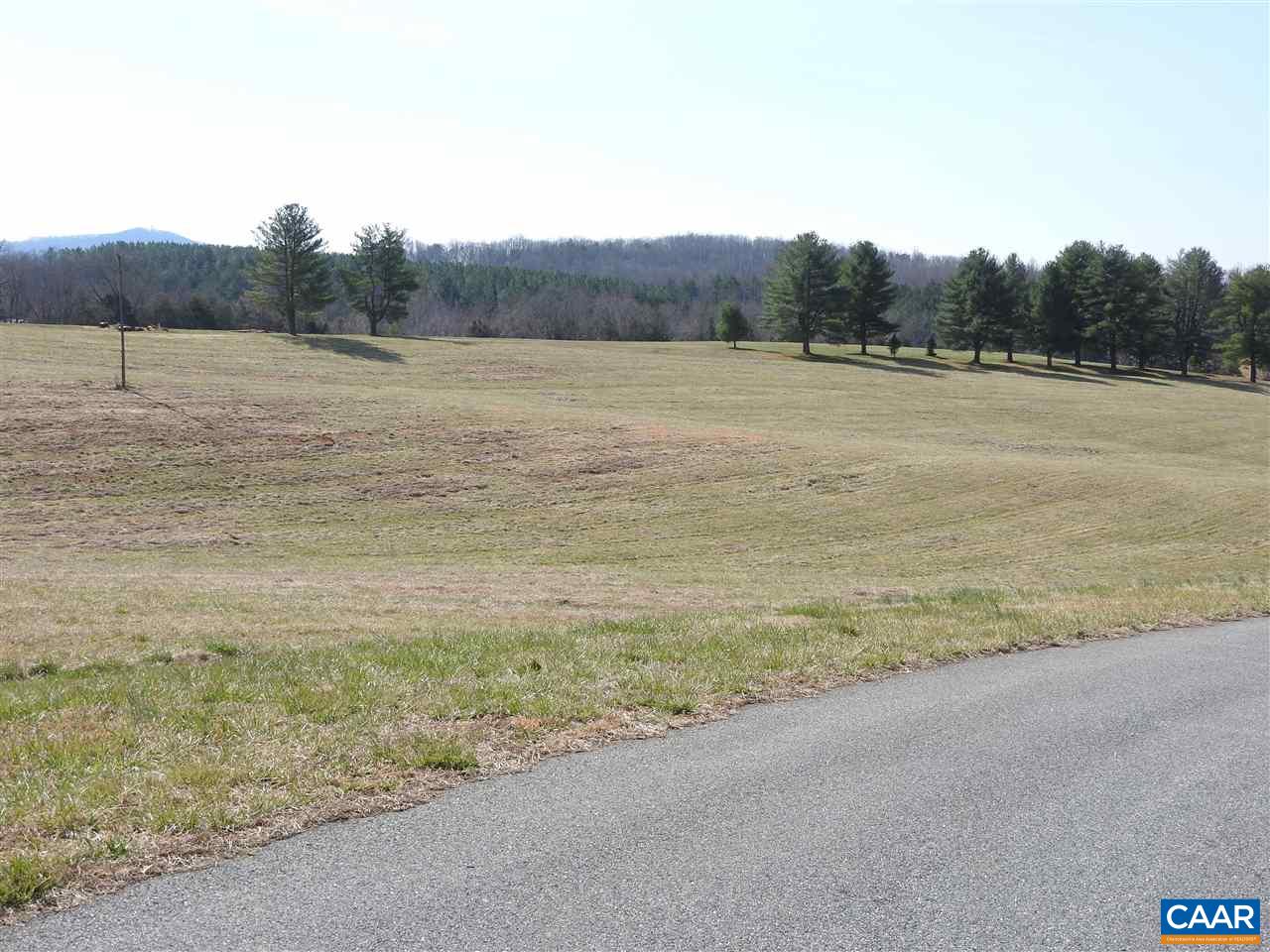 35 Guildford Farm Road Ruckersville, VA 22968 - Photo 21 of 23 a view of a field with trees in the background