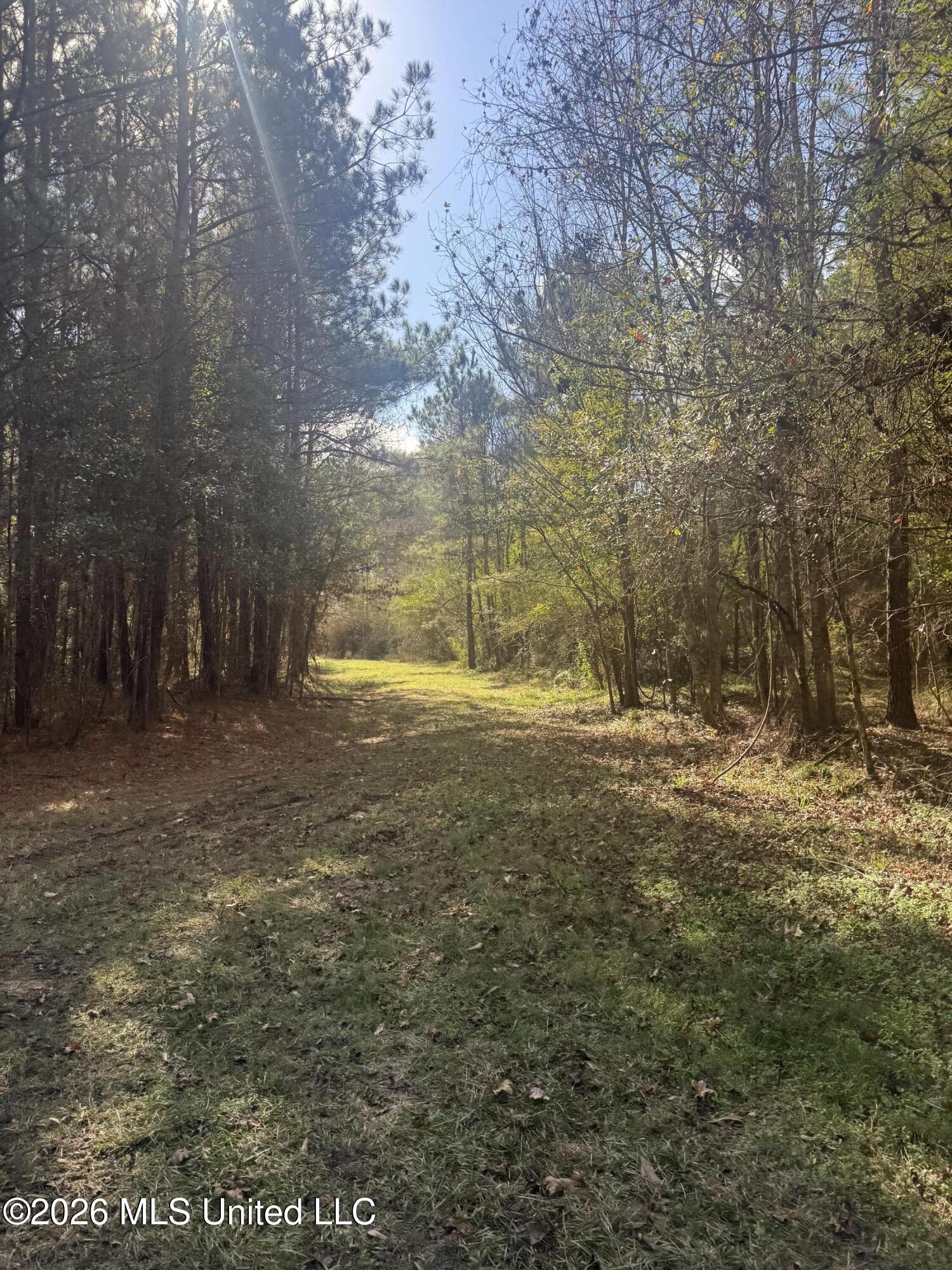 Mckenzie Road Tylertown, MS 39667 - Photo 19 of 50 19