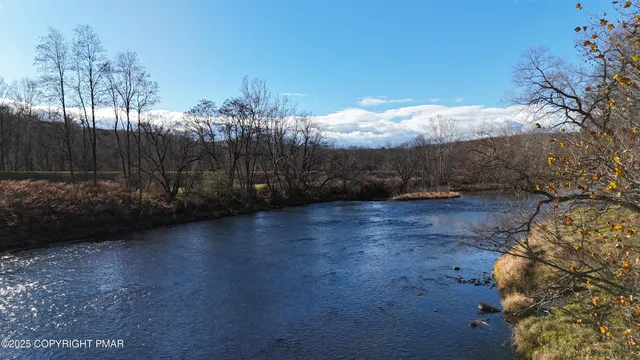 a close up of a plant in a garden