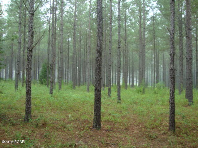 0 Fowler Road Graceville, FL 32440 - Photo 11 of 13