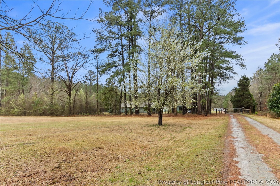 730 Slocomb Road Fayetteville, NC 28311 - Photo 1 of 48 a view of yard with tree