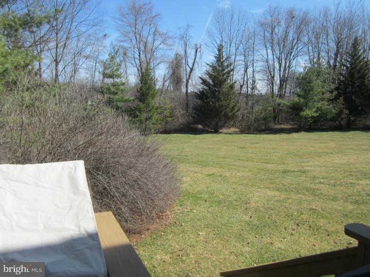 80 Trafalgar Road Doylestown, PA 18901 - Photo 23 of 24 View in Back