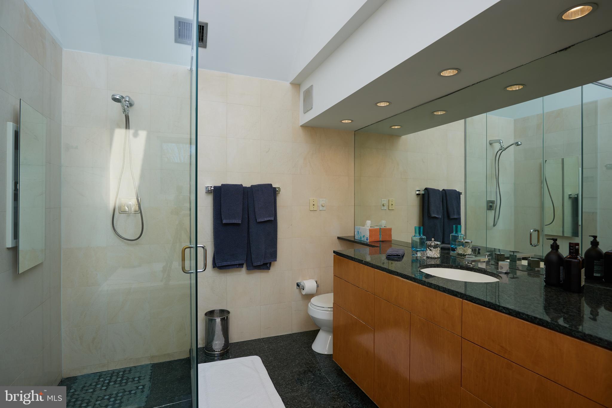 4527 Q Place Northwest Washington, DC 20007 - Photo 41 of 59 a bathroom with a sink and mirror with toilet