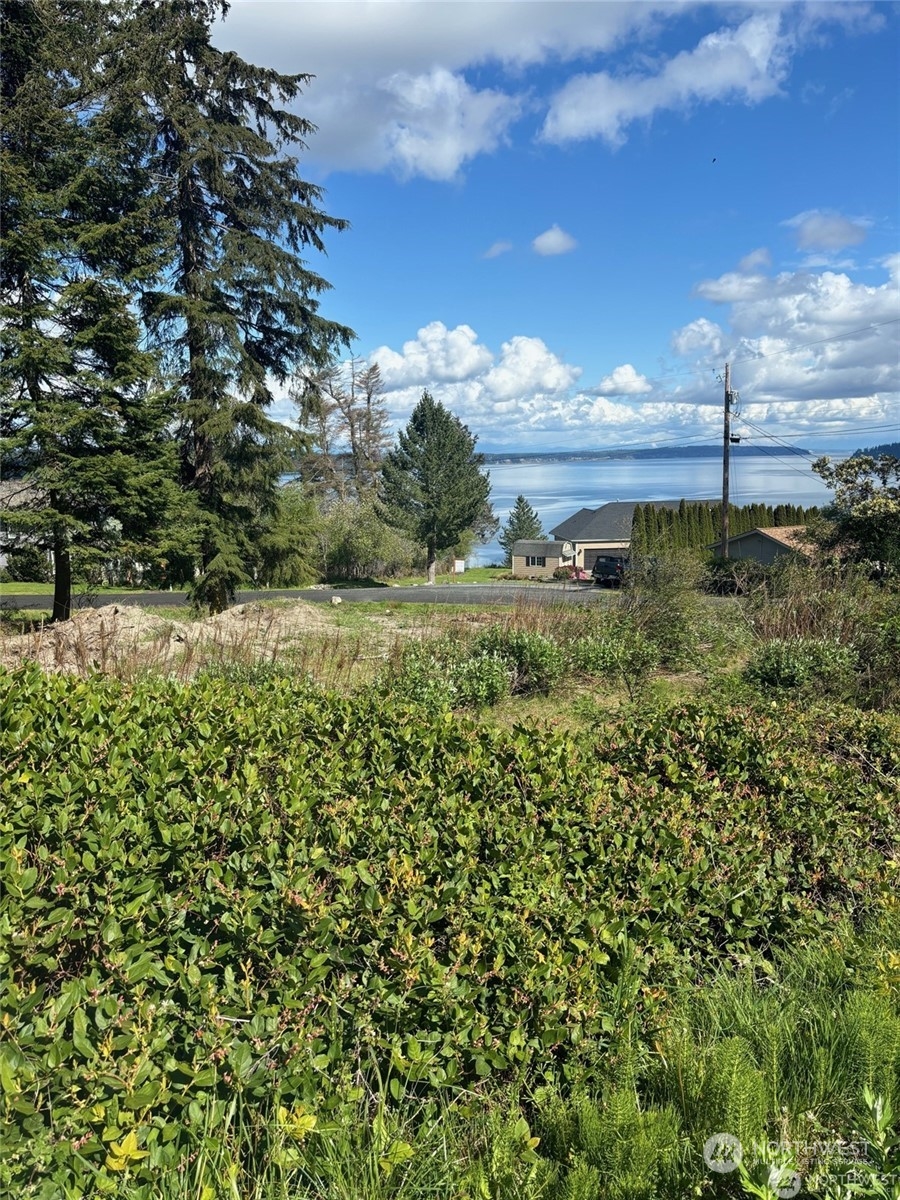 0 North Bluff Road Greenbank, WA 98253 - Photo 1 of 1 Gallery Image 1