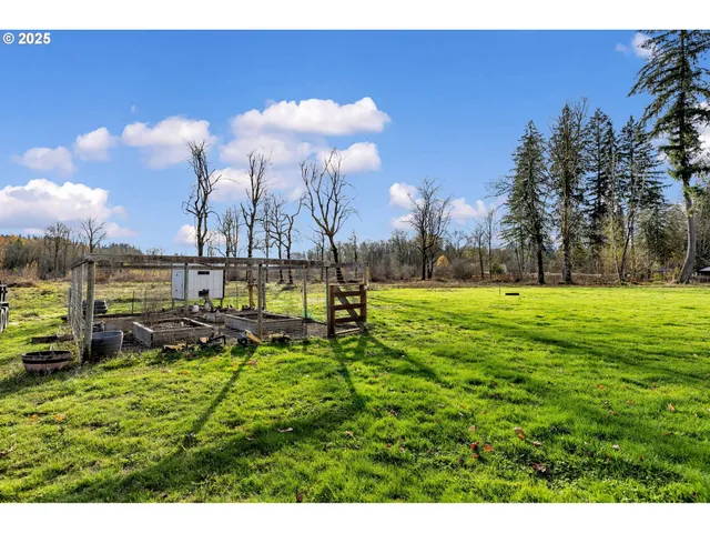 a view of a park with large trees