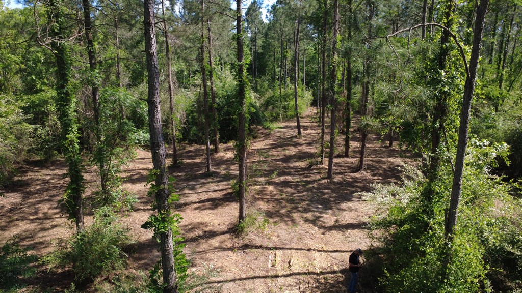 Lot 3 County Road Slocomb, AL 36375 - Photo 5 of 18