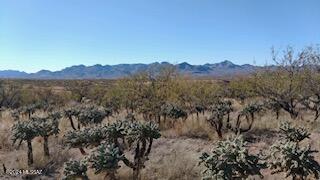 1841 Calle Caracol Rio Rico, AZ 85648 - Photo 2 of 5