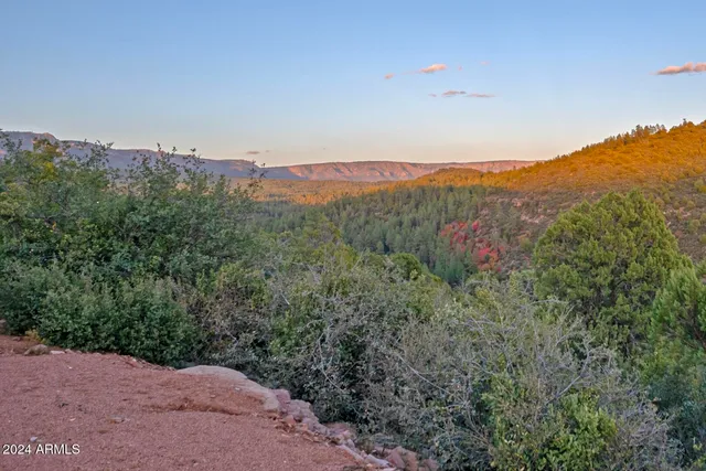a view of a city with lush green forest