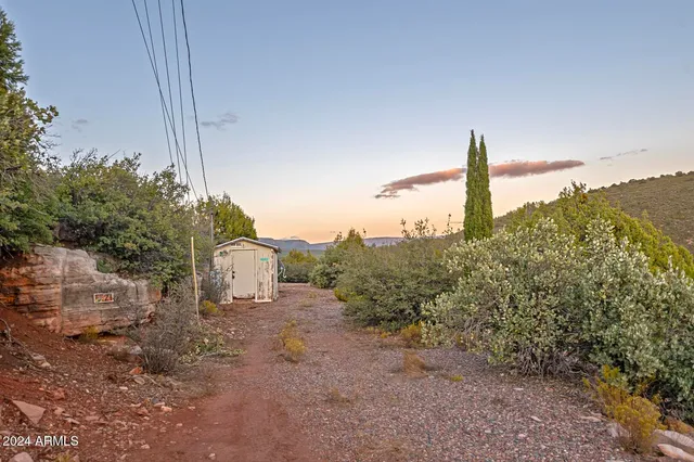 a view of a dry yard with a tree