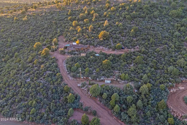 a view of a forest with a street