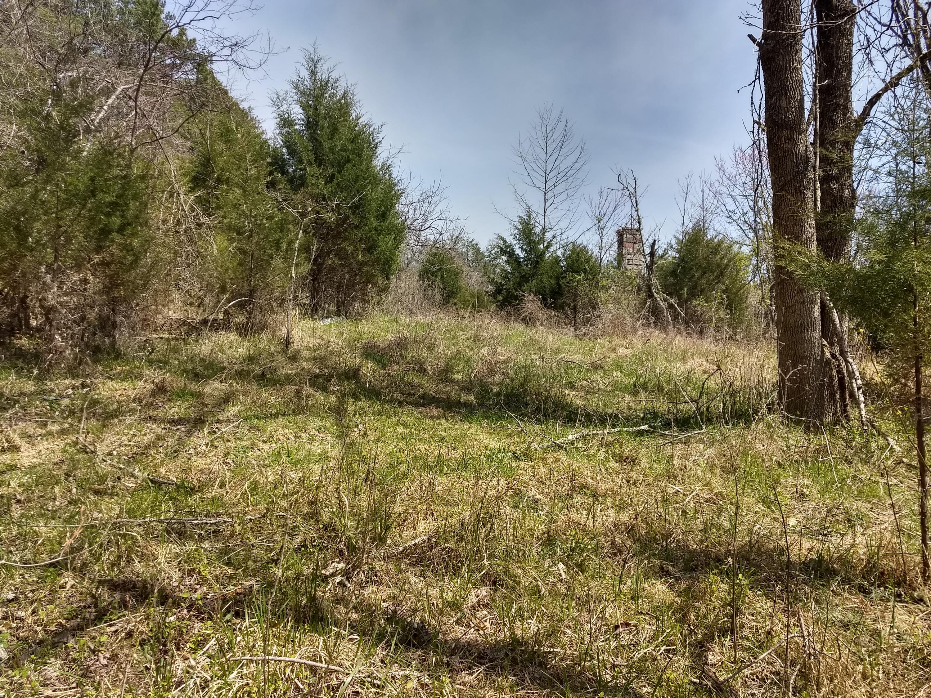 0 Enoch Road Eidson, TN 37731 - Photo 1 of 26 IMG_20180405_135312775_HDR