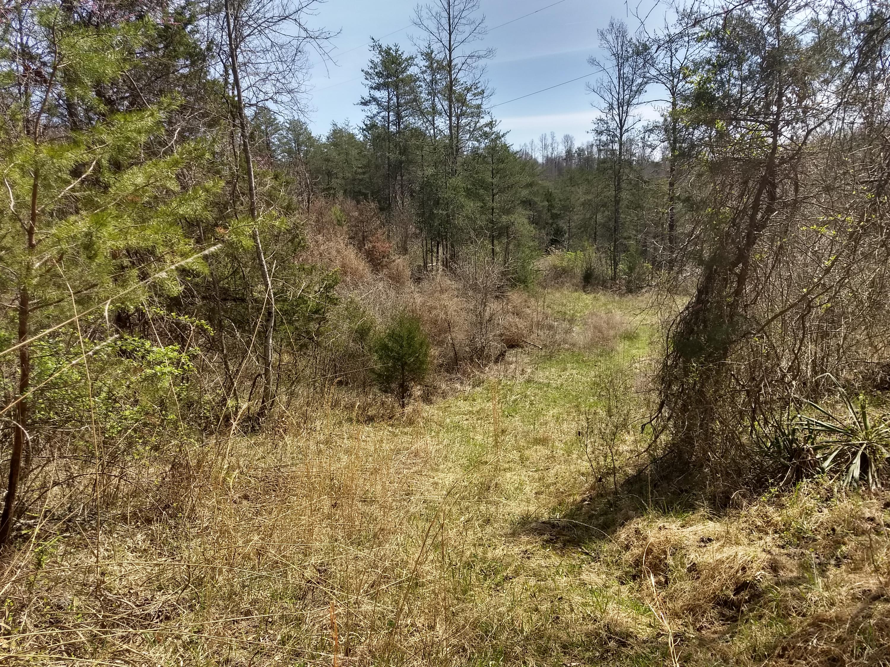 0 Enoch Road Eidson, TN 37731 - Photo 3 of 26 IMG_20180405_135857203_HDR