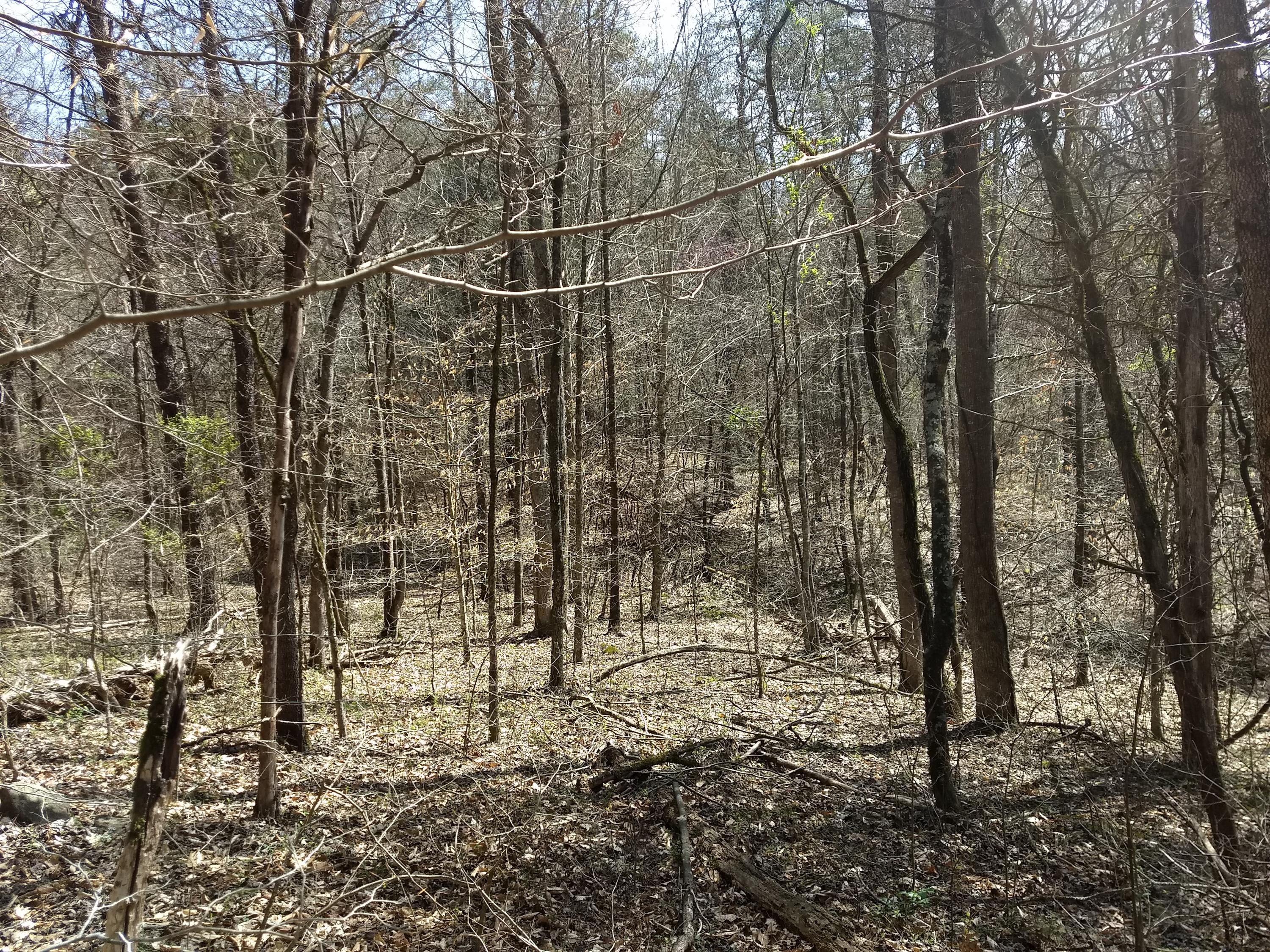 0 Enoch Road Eidson, TN 37731 - Photo 22 of 26 IMG_20180405_140312661