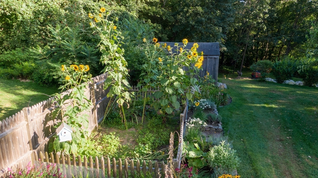 298 Torrey Road Southbridge, MA 01550 - Photo 30 of 40 a backyard of a house with lots of green space