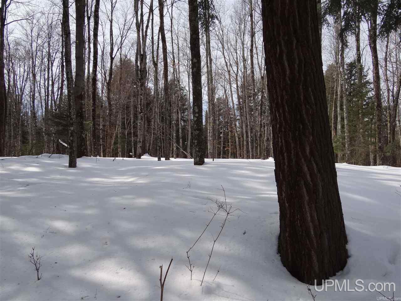 Tbd Dogpatch Road, Unit LOT J Lanse, MI 49946 - Photo 8 of 16