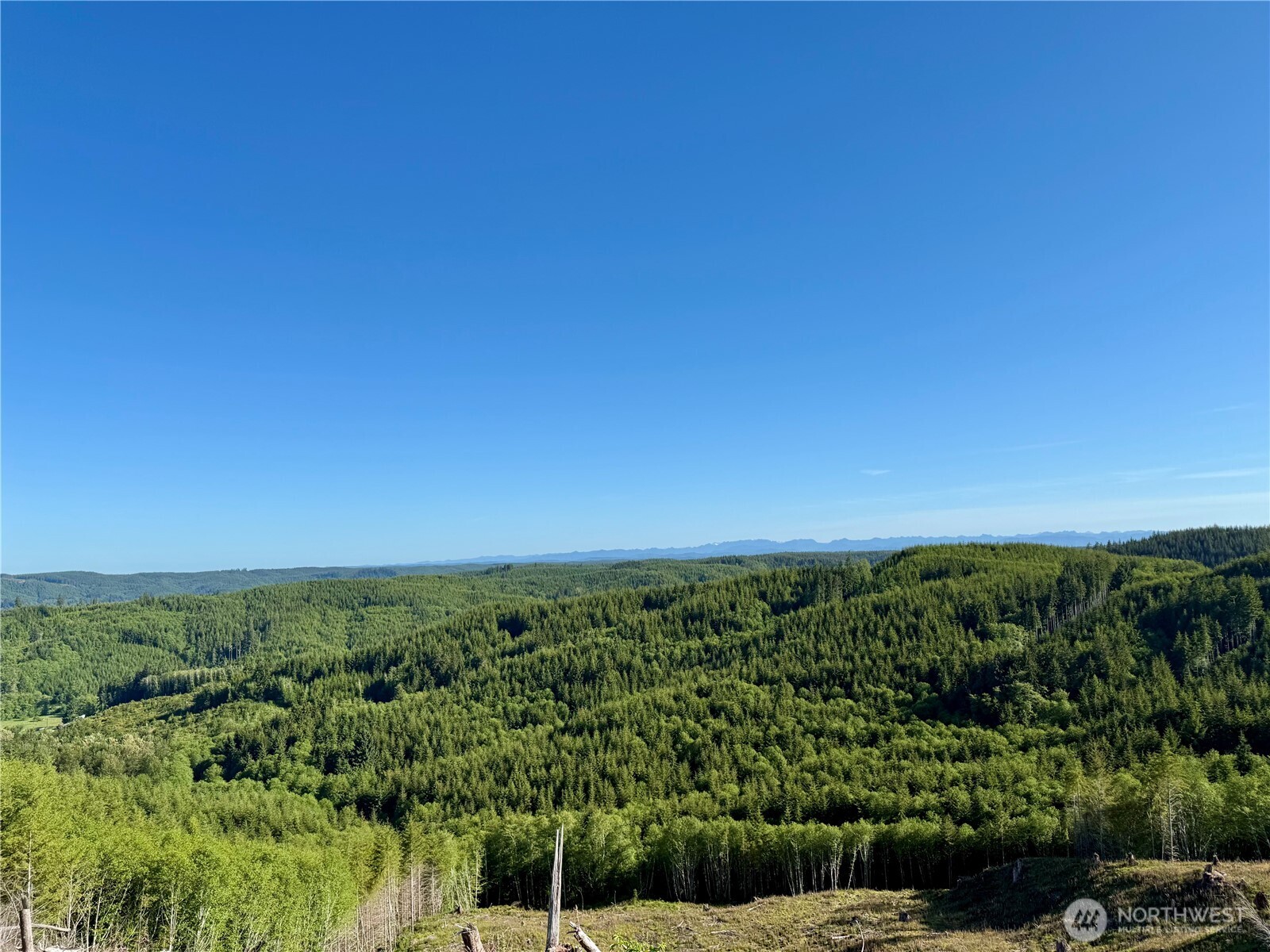 90 East Wishkah Road Aberdeen, WA 98520 - Photo 9 of 23