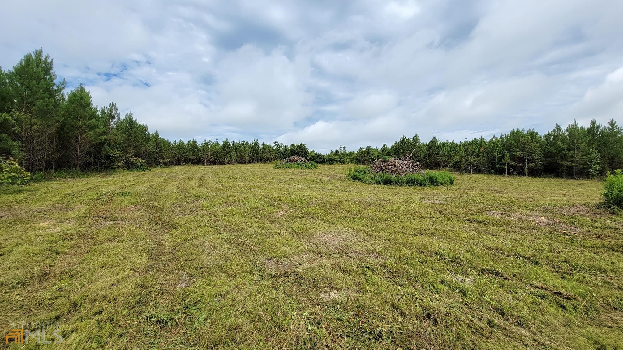 a view of a field with an trees in the background