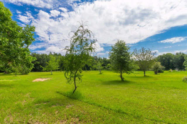 29265 Leiterman Road Elberta, AL 36530 - Photo 25 of 40 Acreage