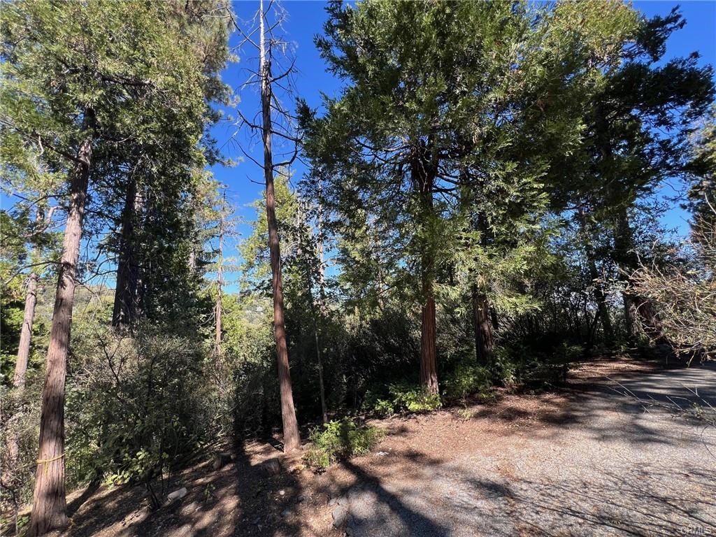 27530 North Bay Road Lake Arrowhead, CA 92352 - Photo 4 of 7