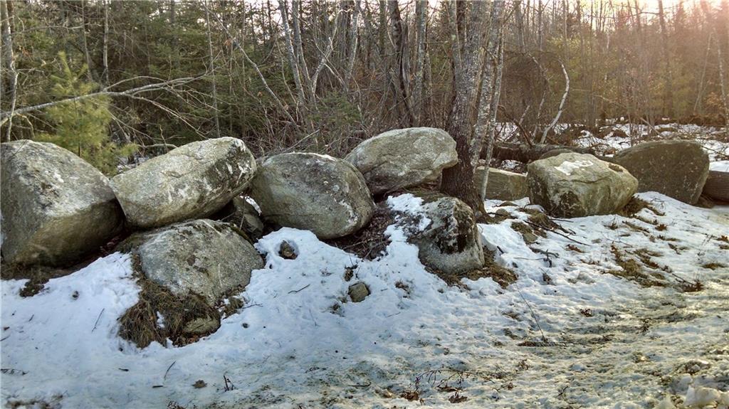 Lot 4 White Orchard Road Frankfort, ME 04438 - Photo 7 of 9 Photo