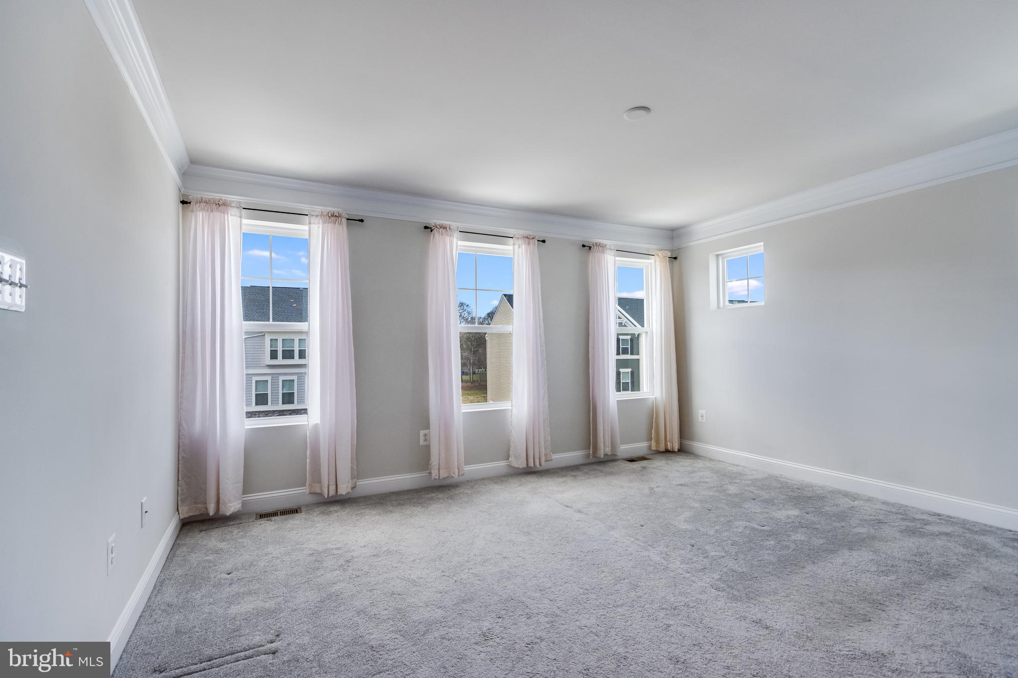 35148 Wright Way Millsboro, DE 19966 - Photo 18 of 35 Primary Suite