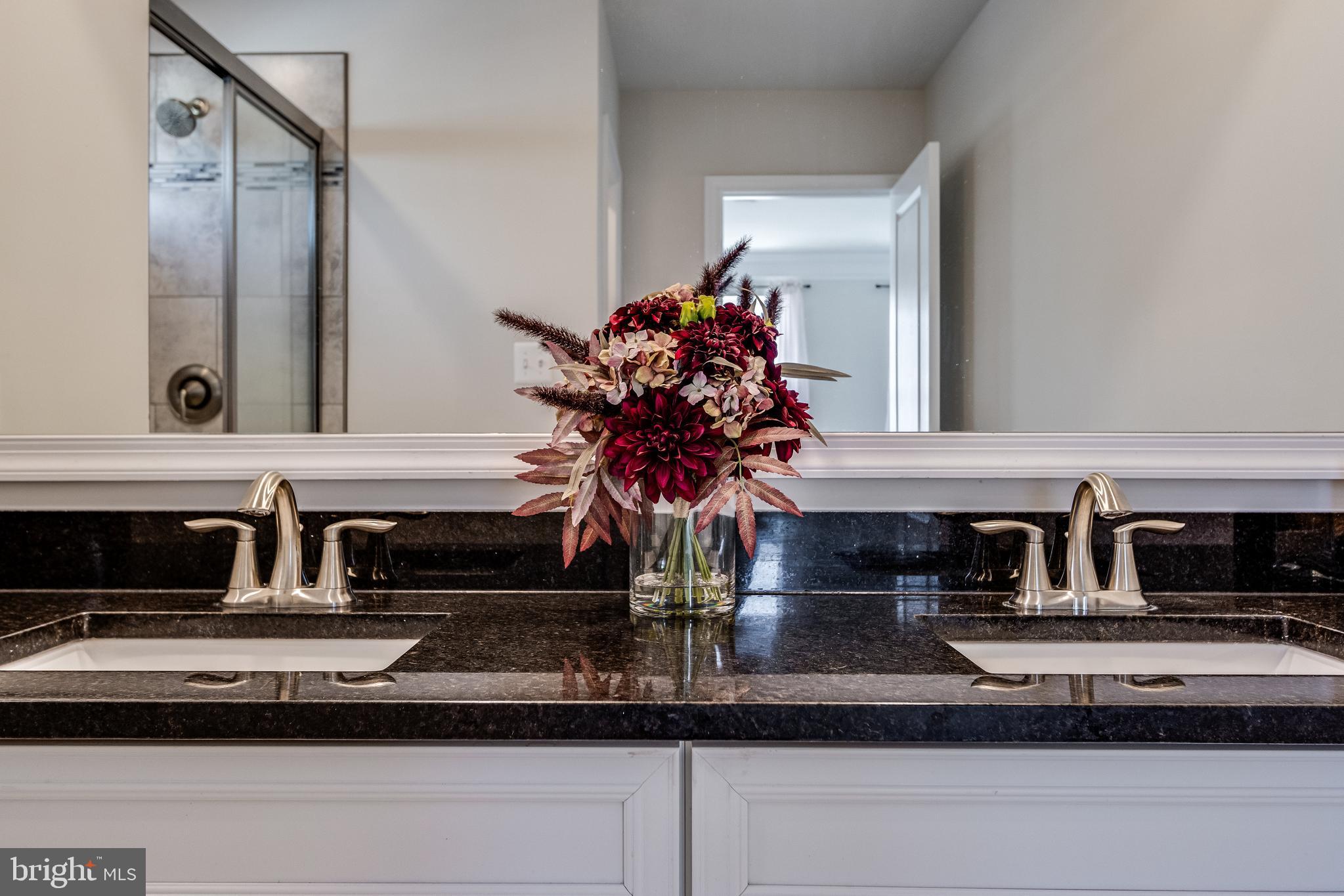 35148 Wright Way Millsboro, DE 19966 - Photo 19 of 35 Double sinks in Primary Bath