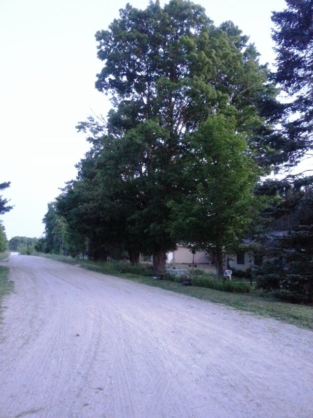 8676 Mockerman Road Southeast Fife Lake, MI 49633 - Photo 12 of 65 1821812-11.JPG