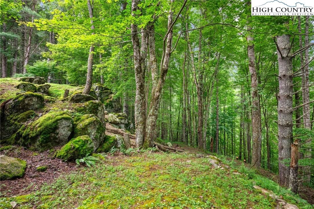 455 Laurel Creek Road Sugar Grove, NC 28679 - Photo 38 of 47