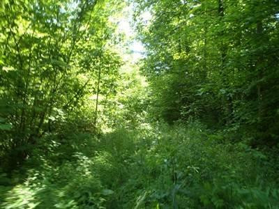 100 Edwards Road Stanton, KY 40380 - Photo 11 of 22 Photo 11