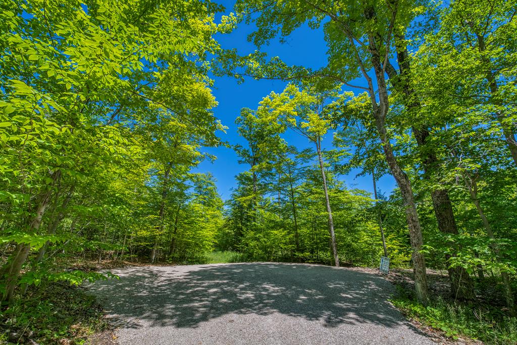 Tbd Lot4 Isle View Road Ellison Bay, WI 54210 - Photo 16 of 20