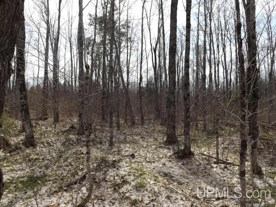 Tbd Forest Rd 180 Wakefield, MI 49968 - Photo 8 of 15