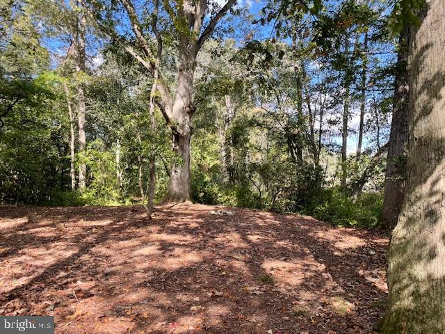 27209 Saxis Road Temperanceville, VA 23442 - Photo 10 of 31 a view of a yard with large trees