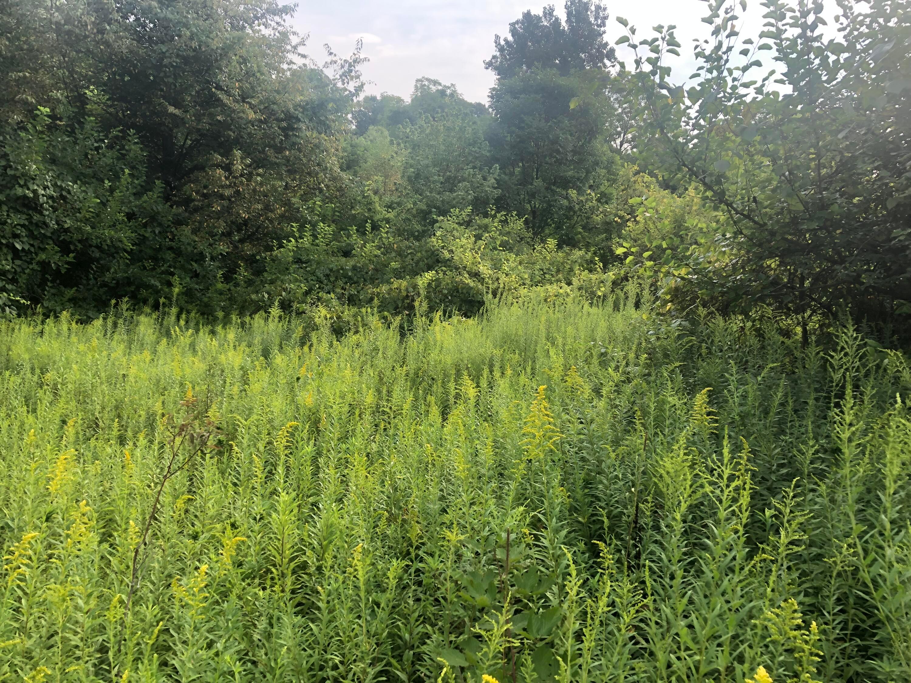 0 County Road Centerburg, OH 43011 - Photo 11 of 16