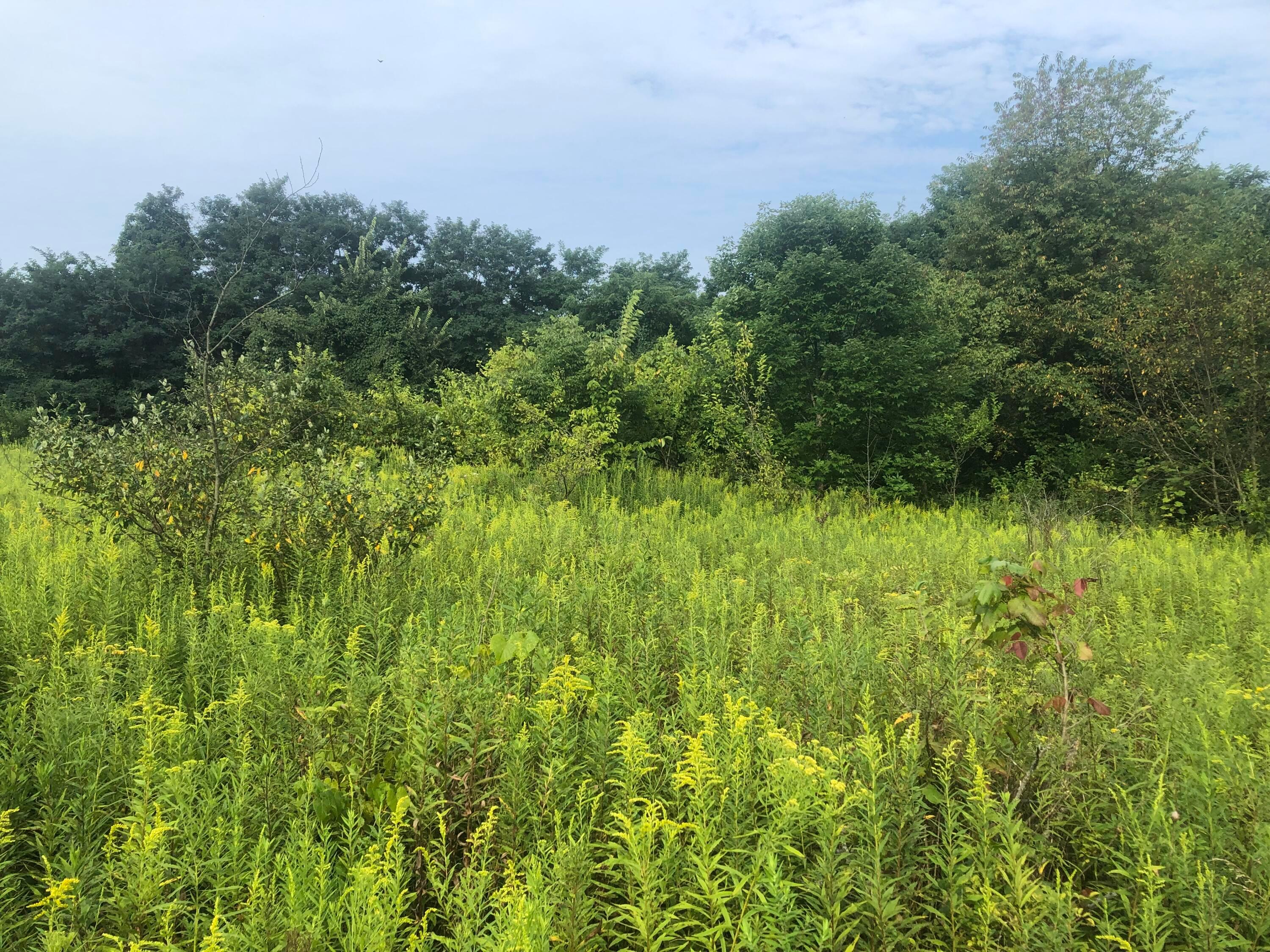 0 County Road Centerburg, OH 43011 - Photo 2 of 16
