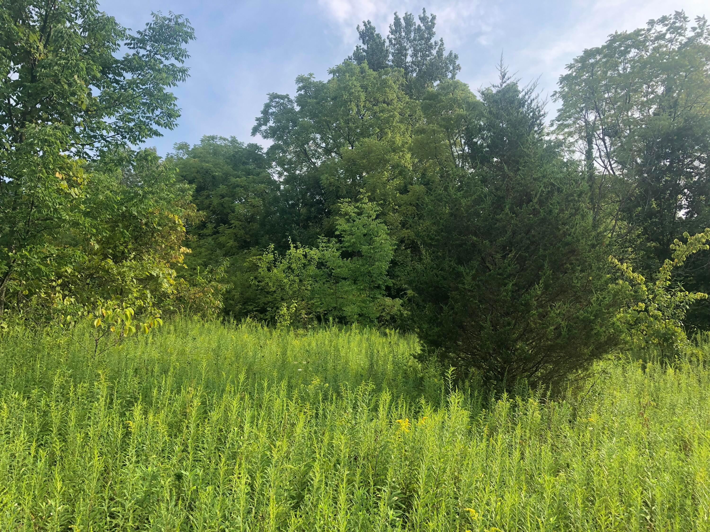 0 County Road Centerburg, OH 43011 - Photo 10 of 16