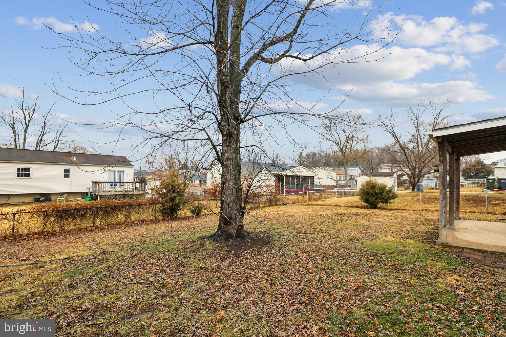 13208 Haddock Road Woodbridge, VA 22193 - Photo 19 of 19 Back Yard
