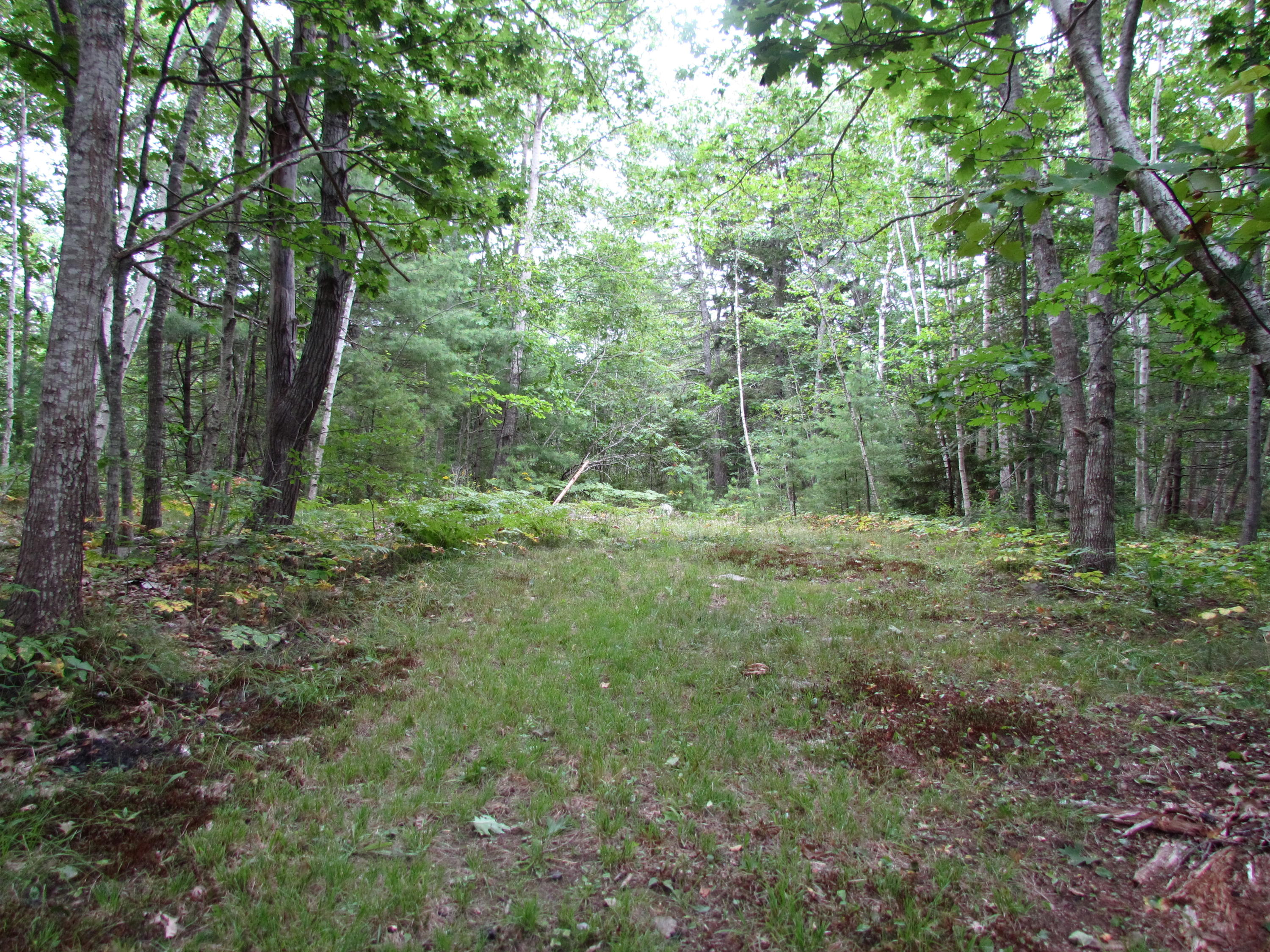 800 Main Road Westport Island, ME 04578 - Photo 34 of 42 Acreage Trail