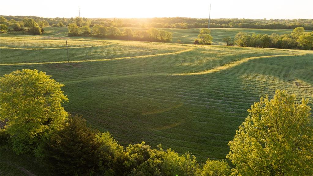 West Murray Road Polo, MO 64671 - Photo 1 of 99