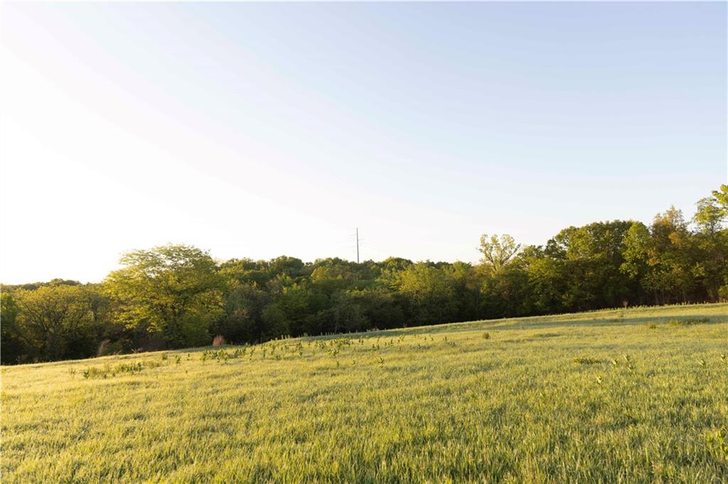 West Murray Road Polo, MO 64671 - Photo 15 of 99