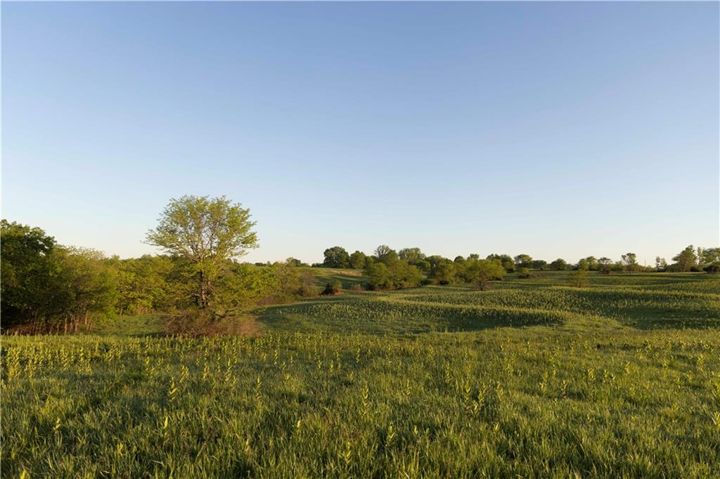 West Murray Road Polo, MO 64671 - Photo 23 of 99