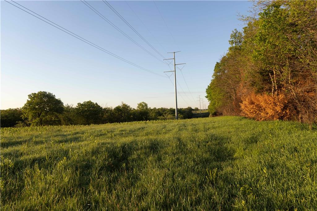 West Murray Road Polo, MO 64671 - Photo 25 of 99