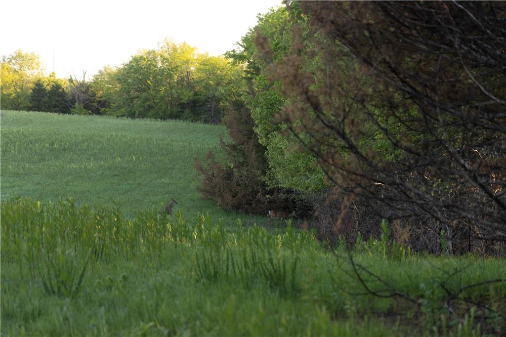 West Murray Road Polo, MO 64671 - Photo 33 of 99