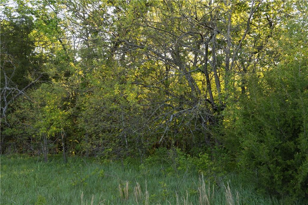 West Murray Road Polo, MO 64671 - Photo 50 of 99