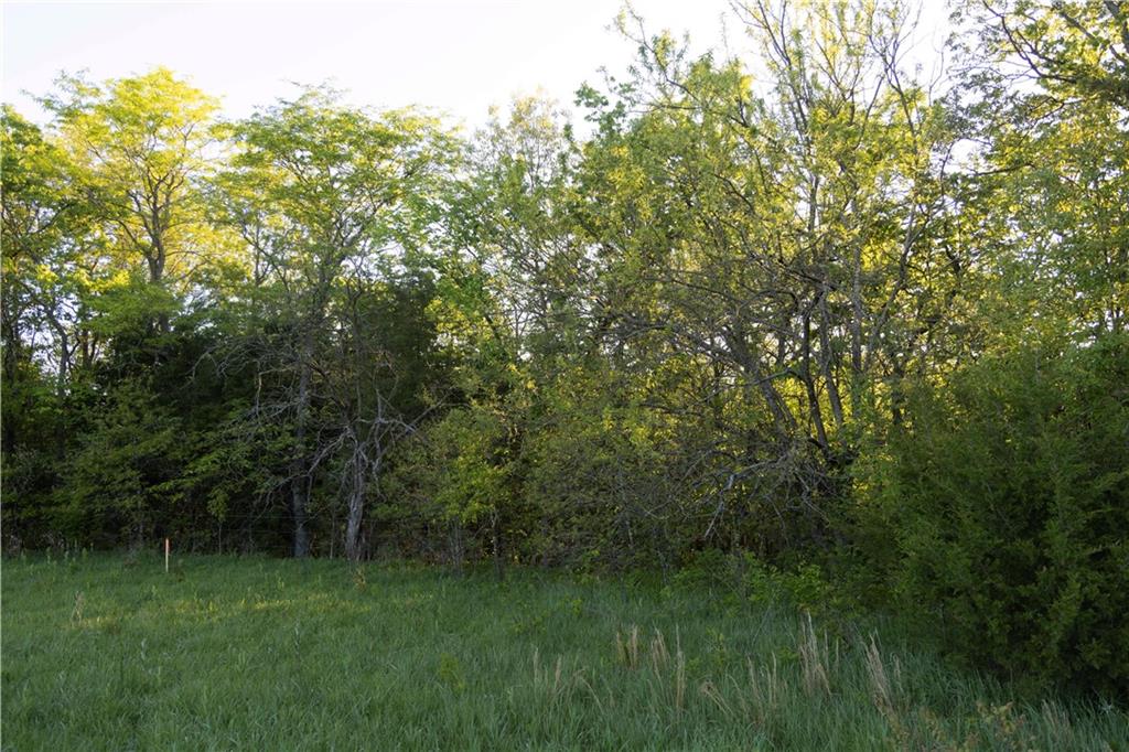 West Murray Road Polo, MO 64671 - Photo 51 of 99
