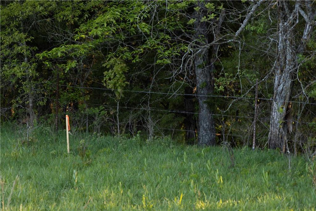 West Murray Road Polo, MO 64671 - Photo 52 of 99